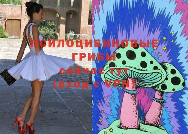 марки lsd Краснослободск