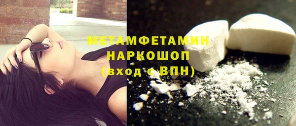 трава Коряжма
