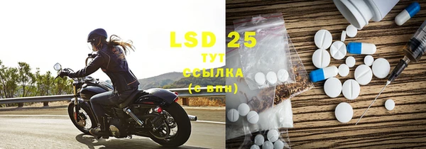 ECSTASY Кукмор