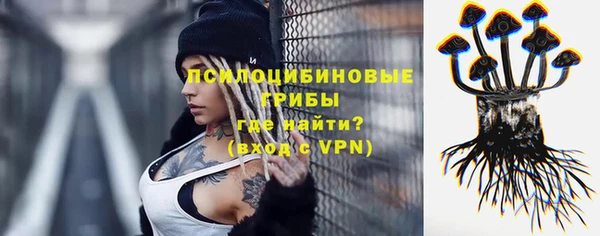 марки lsd Краснослободск