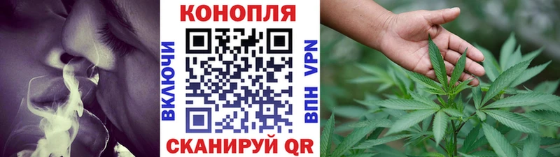 Марихуана сатива  где найти наркотики  Темников 